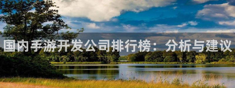 恩佐娱乐登陆：国内手游开发公司排行榜：分析与建议