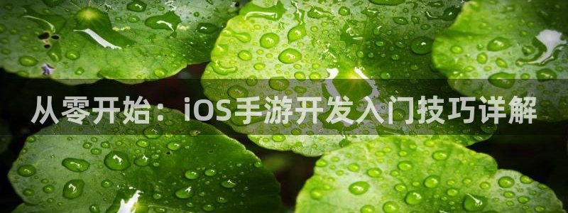 恩佐娱乐手机版最新功能介绍大全：从零开始：iOS手游开发入门
