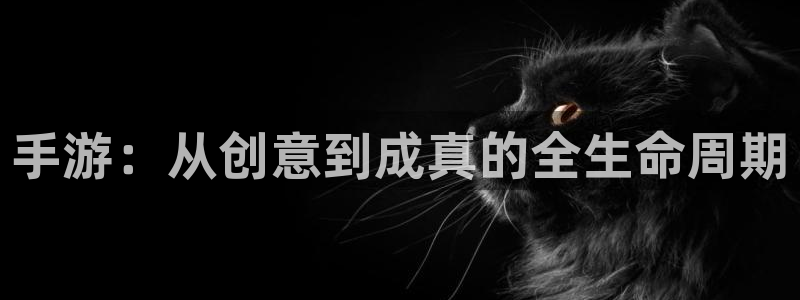 恩佐娱乐平台正规吗安全吗：手游：从创意到成真的全生命周期