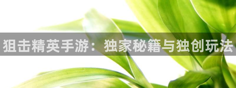 恩佐娱乐平台正规吗安全吗：狙击精英手游：独家秘籍与独创玩法