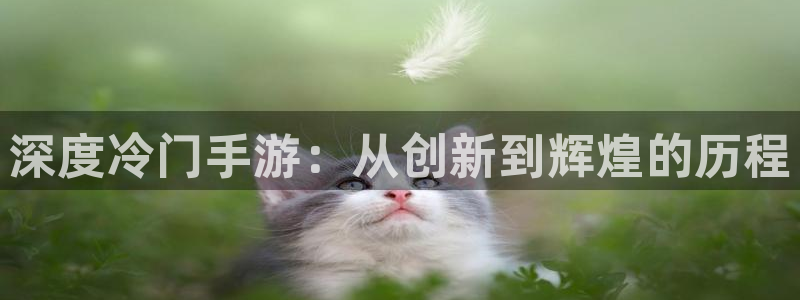 恩佐娱乐登陆：深度冷门手游：从创新到辉煌的历程