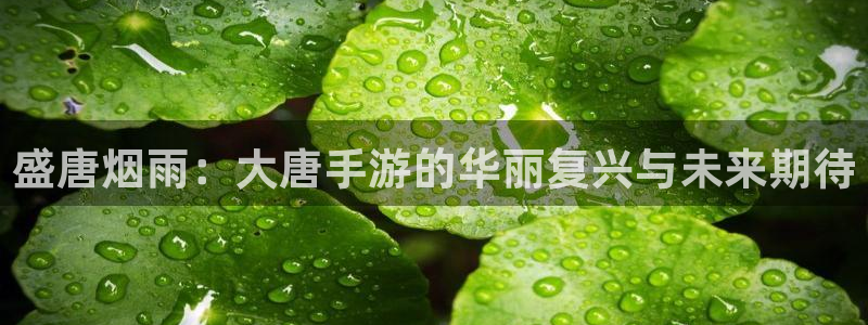 恩佐娱乐平台正规吗知乎：盛唐烟雨：大唐手游的华丽复兴与未来期