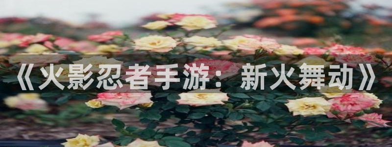 恩佐娱乐：《火影忍者手游：新火舞动》