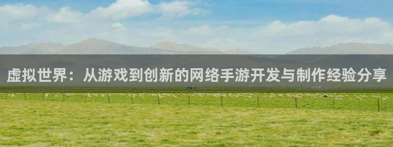 恩佐娱乐注册：虚拟世界：从游戏到创新的网络手游开发与制作经验