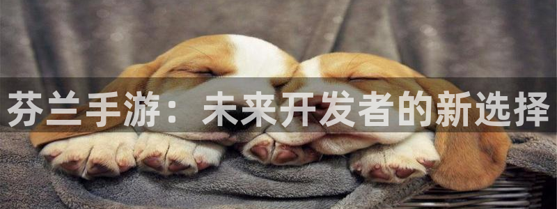 恩佐娱乐平台正规吗知乎：芬兰手游：未来开发者的新选择