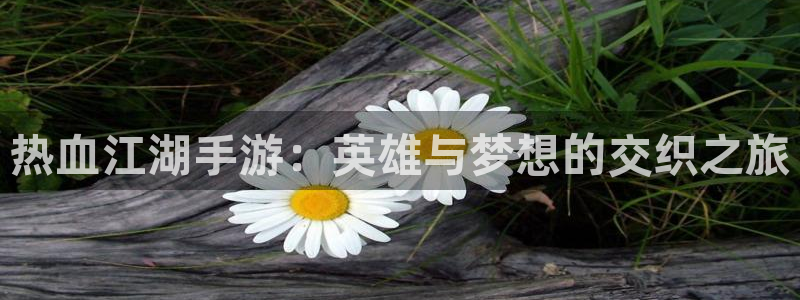 恩佐娱乐手机版最新功能介绍大全：热血江湖手游：英雄与梦想的交