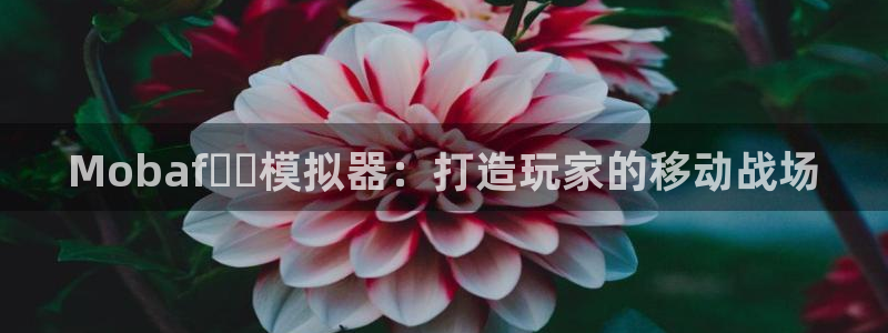 恩佐娱乐注册：Mobafือ模拟器：打造玩家的移动战场