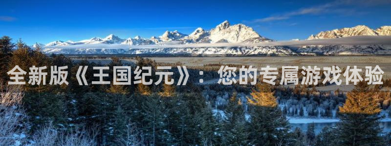 恩佐娱乐：全新版《王国纪元》：您的专属游戏体验