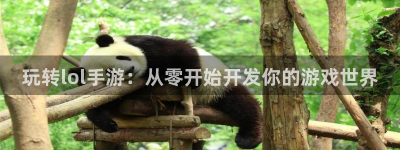 恩佐娱乐手机登录：玩转lol手游：从零开始开发你的游戏世界