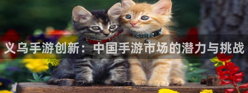 恩佐娱乐平台正规吗安全吗：义乌手游创新：中国手游市场的潜力与