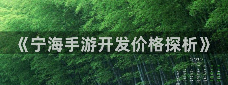 恩佐娱乐手机版最新功能介绍视频：《宁海手游开发价格探析》