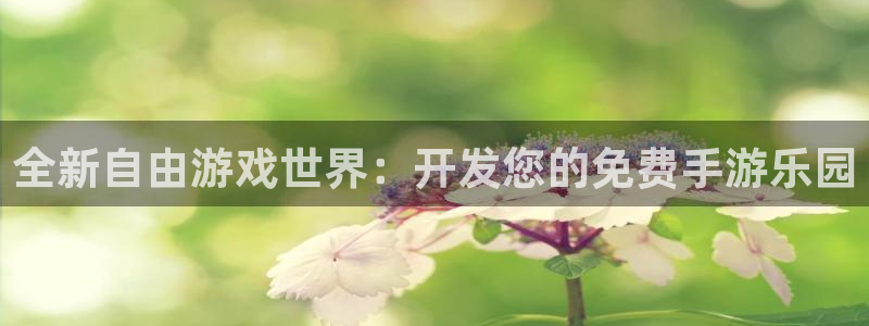恩佐娱乐登陆：全新自由游戏世界：开发您的免费手游乐园