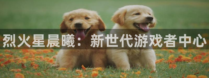 恩佐娱乐平台正规吗安全吗：烈火星晨曦：新世代游戏者中心