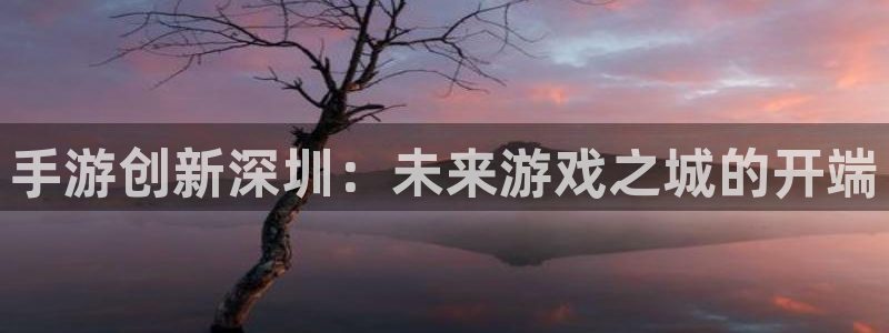 恩佐娱乐注册：手游创新深圳：未来游戏之城的开端