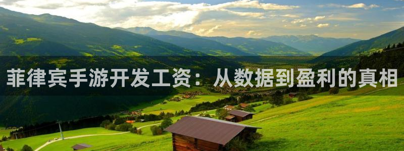 恩佐娱乐：菲律宾手游开发工资：从数据到盈利的真相