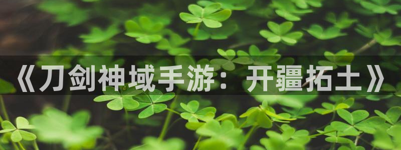 恩佐娱乐1：《刀剑神域手游：开疆拓土》