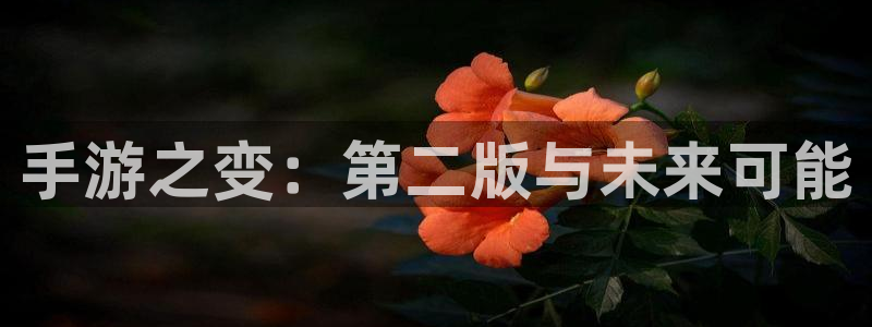 恩佐娱乐平台正规吗知乎：手游之变：第二版与未来可能