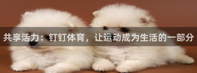 风速体育cba直播：共享活力：钉钉体育，让运动成为生活的一部分