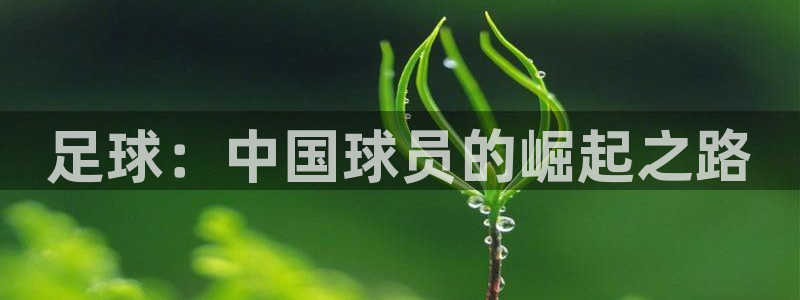 风速体育官网：足球：中国球员的崛起之路