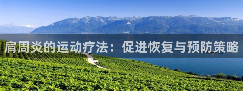 风速体育官网：肩周炎的运动疗法：促进恢复与预防策略