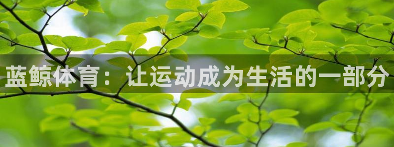 风速体育nba免费直播：蓝鲸体育：让运动成为生活的一部分