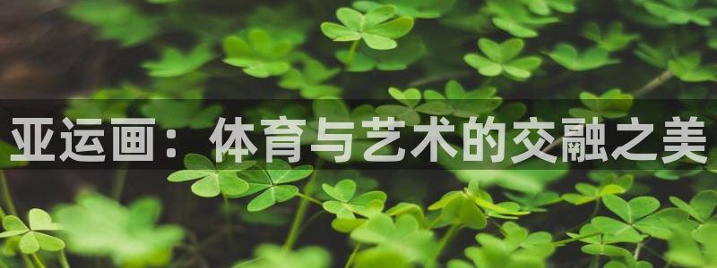 风速体育：亚运画：体育与艺术的交融之美