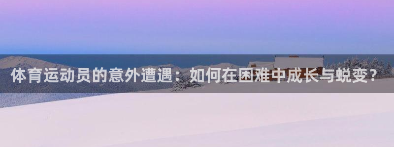 风速体育官网