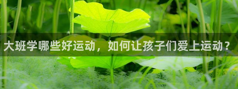 风速体育app下载安装最新版本：大班学哪些好运动，如何让孩子们爱上运动？