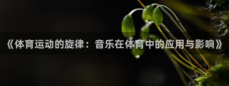 风速体育nba免费直播