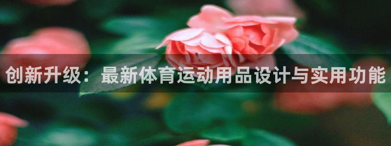 风速体育直播：创新升级：最新体育运动用品设计与实用功能