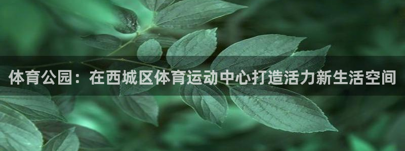 风速体育直播：体育公园：在西城区体育运动中心打造活力新生活空间