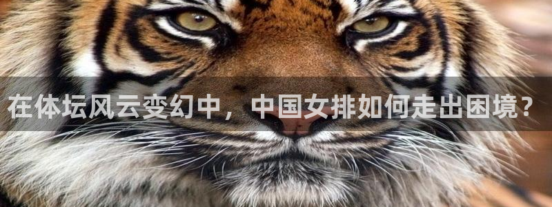 风速体育nba直播：在体坛风云变幻中，中国女排如何走出困境？